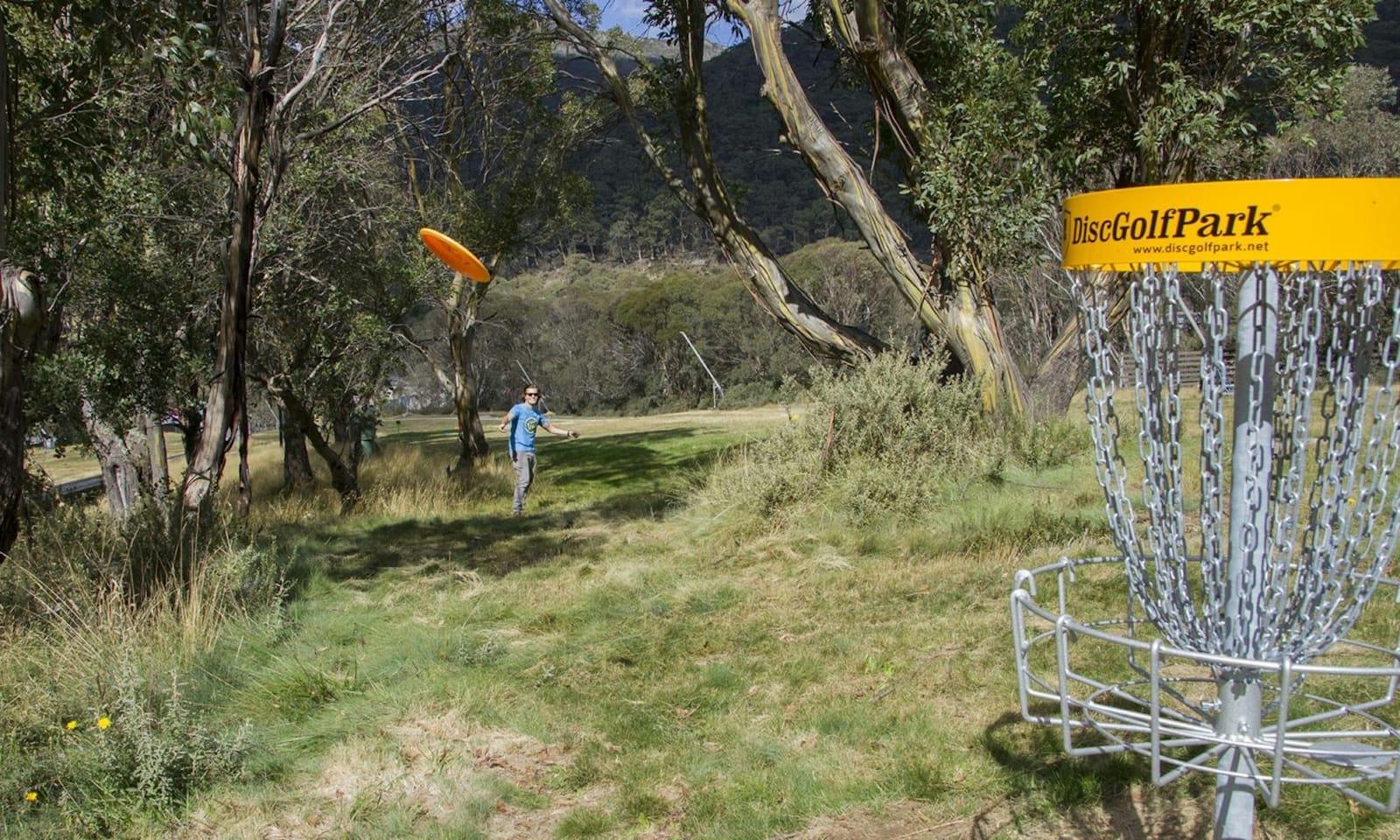 Thredbo disc golf course